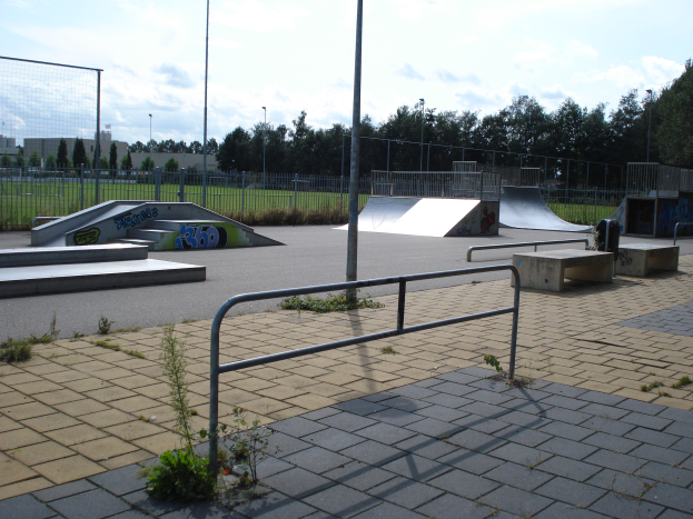Ein Skatepark mit Rampen, Geländern, Grünflächen, Pfählen, Bäumen, fernen Gebäuden und einem bewölkten Himmel.