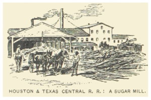 Plakat der Houston & Texas Central R.R. Zuckerfabrik mit Menschen, Pferden und Gebäuden im Hintergrund, mit der Aufschrift "Zuckerfabrik" unten.