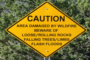 Gelbes Warnschild an einem Pfosten im Vordergrund, das vor einer durch Wildfire beschädigten Zone mit Gefahren wie losen Steinen, umstürzenden Bäumen und Überschwemmungen warnt, mit Bäumen im Hintergrund.