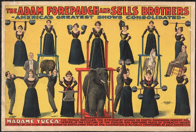 Plakat für die konsolidierte Zirkus-Show von Adam Forepaugh und Sells Brothers mit Künstlern auf Hockern und einem zentralen Elefanten, sowie Text und Werbebildern.