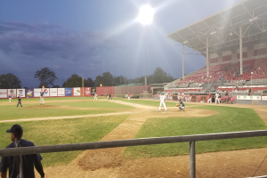 Jahn-Stadion: Stadtrat entscheidet zugunsten des Baseball-Clubs 'Sly Dogs'