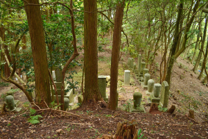 Ein Friedhof in einem bewaldeten Gebiet mit zahlreichen Grabsteinen unter hohen, grünen Bäumen und einem Boden, der mit trockenen Blättern bedeckt ist.