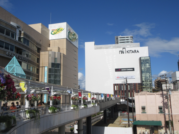 Eine belebte Straße mit hohen Gebäuden, eine Brücke mit Geländern, Topfpflanzen in Blüte, Passanten, Strommasten mit Kabeln und ein bewölktes Himmel im Hintergrund.