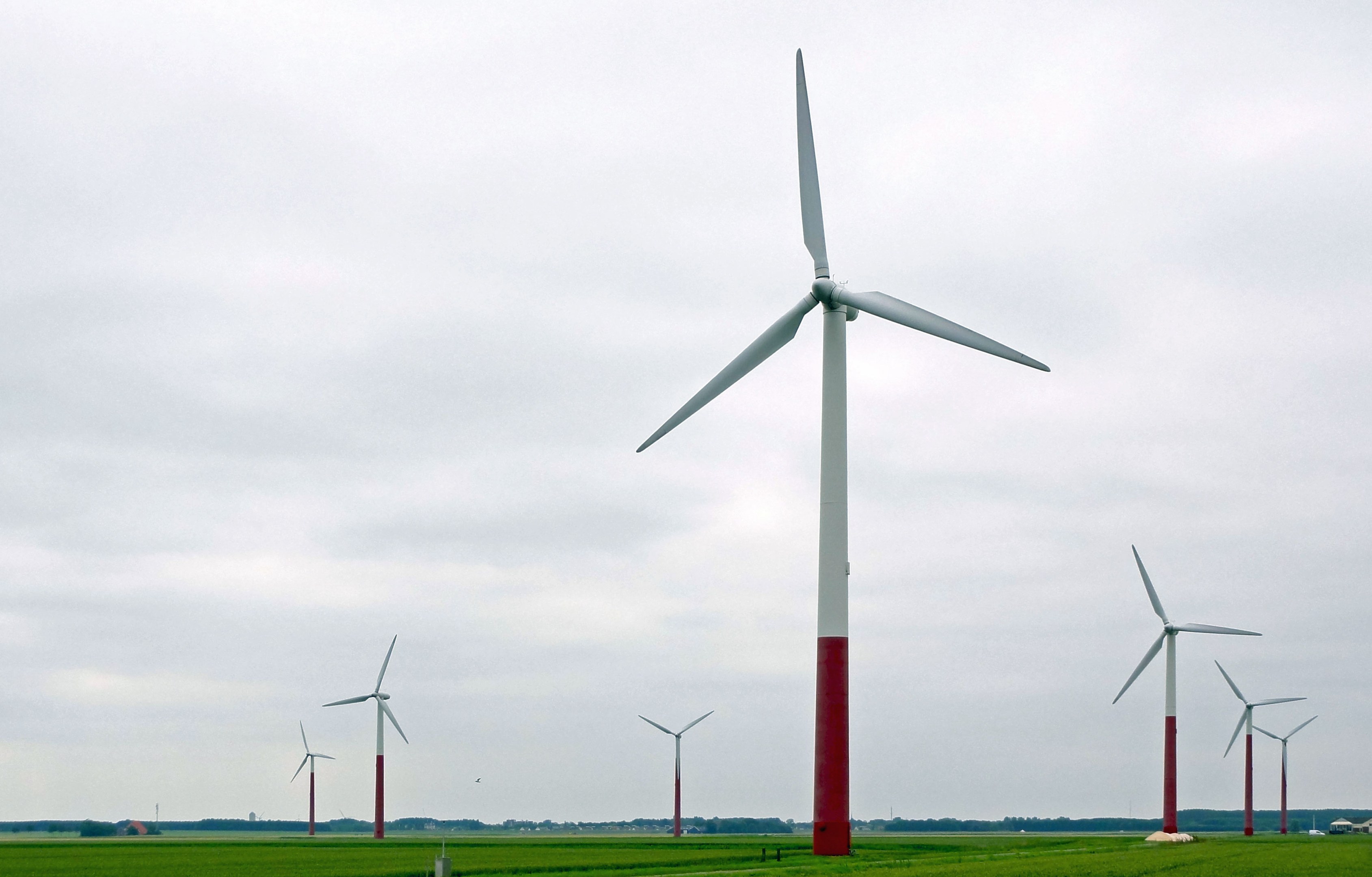 Gruppe hoher weißer Windkraftanlagen in einer grünen Wiese mit Bäumen und Wolken im Hintergrund.