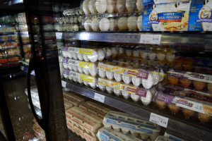 Ein Supermarktkühlschrank voller ordentlich arrangierter Eierkartons, jeder mit sichtbaren Preisschildern, vor einem leicht unscharfen Hintergrund.