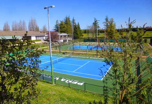 Tennisplatz mit Netz, umgeben von grünem Gras, B├Ąumen, erleuchtet von Laternen unter einem klaren blauen Himmel.