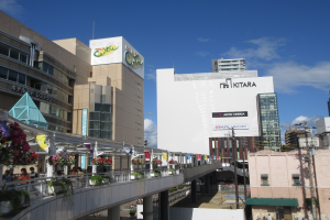 Eine belebte Straße mit hohen Gebäuden, eine Brücke mit Geländern, Topfpflanzen in Blüte, Passanten, Strommasten mit Kabeln und ein bewölktes Himmel im Hintergrund.