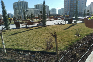 Ein Parkplatz voller Topfpflanzen und Bäume, umgeben von Gebäuden, Straßenlaternen, Strommasten, Stromkabeln und Kraftfahrzeugen auf der Straße, unter einem bewölkten Himmel.