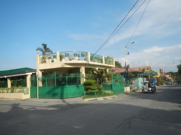 Eine Straße mit fahrenden Fahrzeugen, ein grünes Gebäude mit einem passenden Zaun, Geländern, Pflanzen, Bäumen, Strommasten mit Drähten und Lampen und eine Flagge, vor einem bewölkten Himmel.